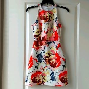 Abercrombie & Fitch Floral Abstract Dress XS